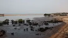 آلودگی نفتی در منطقه سوزای قشم