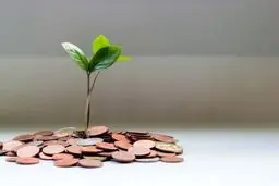 سوگیری برای سرمایه‌گذاری

