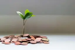 ارزش استارتاپ‌های «حرکت اول» به بیش از 5 هزار میلیارد تومان رسید


