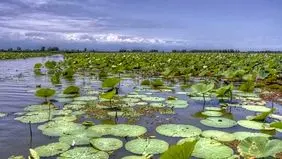 باشگاه استقلال حامی تالاب‌های کشور