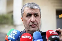  عصبانیت دشمن نشان از شکست اقدامات علیه ایران است