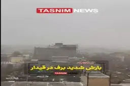 صحنه تماشایی از بارش برف در زنجان+ ویدئو