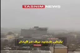 صحنه تماشایی از بارش برف در زنجان+ ویدئو