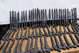 Border guards disband weapon-trafficking gang in SE Iran