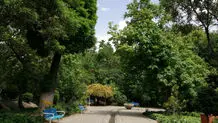 ماجرای سند قطع درختان پارک قیطریه توسط شهرداری تهران چیست؟