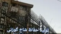 حفاظ شاخ گوزنی: از ذهنِ خلاقِ طبیعت تا خطِ تولیدِ مدرن؛ رازهایِ ناگفته در ساختِ امن‌ترین گاردِ خانه‌یِ شما!