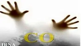 گاز گرفتگی هشت نفر از اهالی روستایی در مشهد

