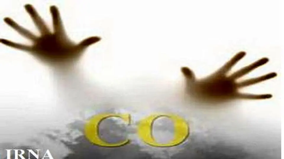 گاز گرفتگی هشت نفر از اهالی روستایی در مشهد

