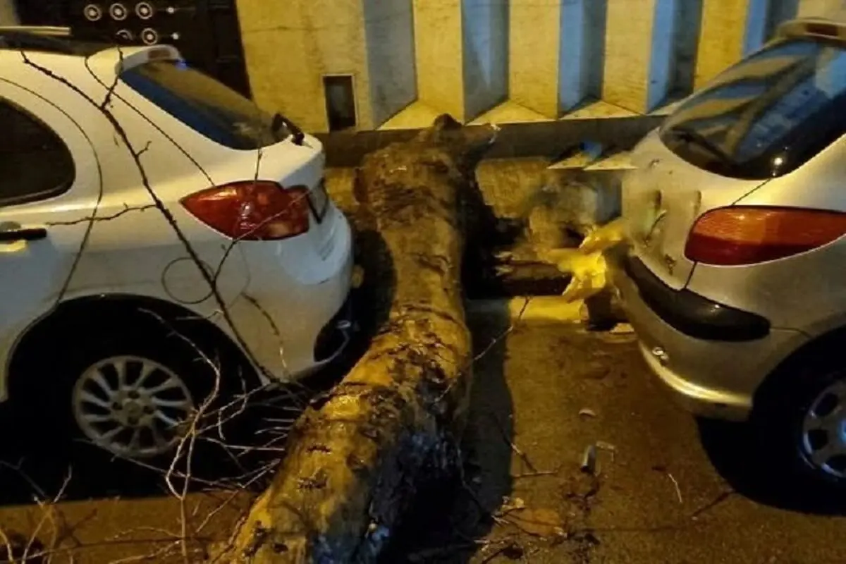 قزوین درگیر تندباد شد 