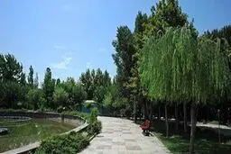 از ایمن سازی بوستان ها و فضای سبز منطقه تا شناسایی 80 میله قنات در منطقه 15