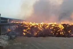 مرگ ۳ کارگر در انفجار کارخانه زباله‌سوزی آرادکوه 