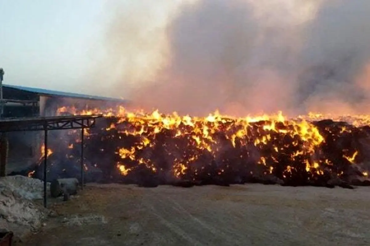 مرگ ۳ کارگر در انفجار کارخانه زباله‌سوزی آرادکوه 