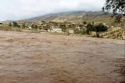 سیل ما را با خود برد