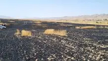 مزارع جو و گندم در کرمانشاه سوخت/ جزییات آتش سوزی و میزان خسارت به کشاورزان 