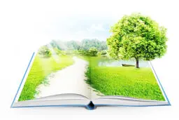 نقش آموزش در امنیت انسانی
