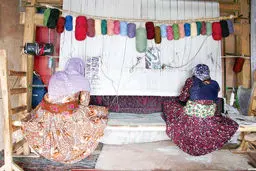 زنان روی دار