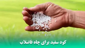 خطرات استفاده از کود سفید برای چاه فاضلاب و روش‌های جایگزین ایمن