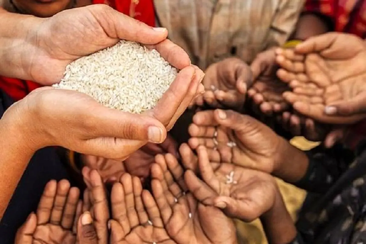 فاجعه غذایی در راه است 