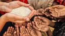 فاجعه غذایی در راه است 