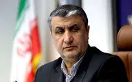 IAEA must refrain from politicizing Iran’s case: AEOI chief