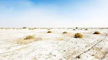 ما همه یکی هستیم