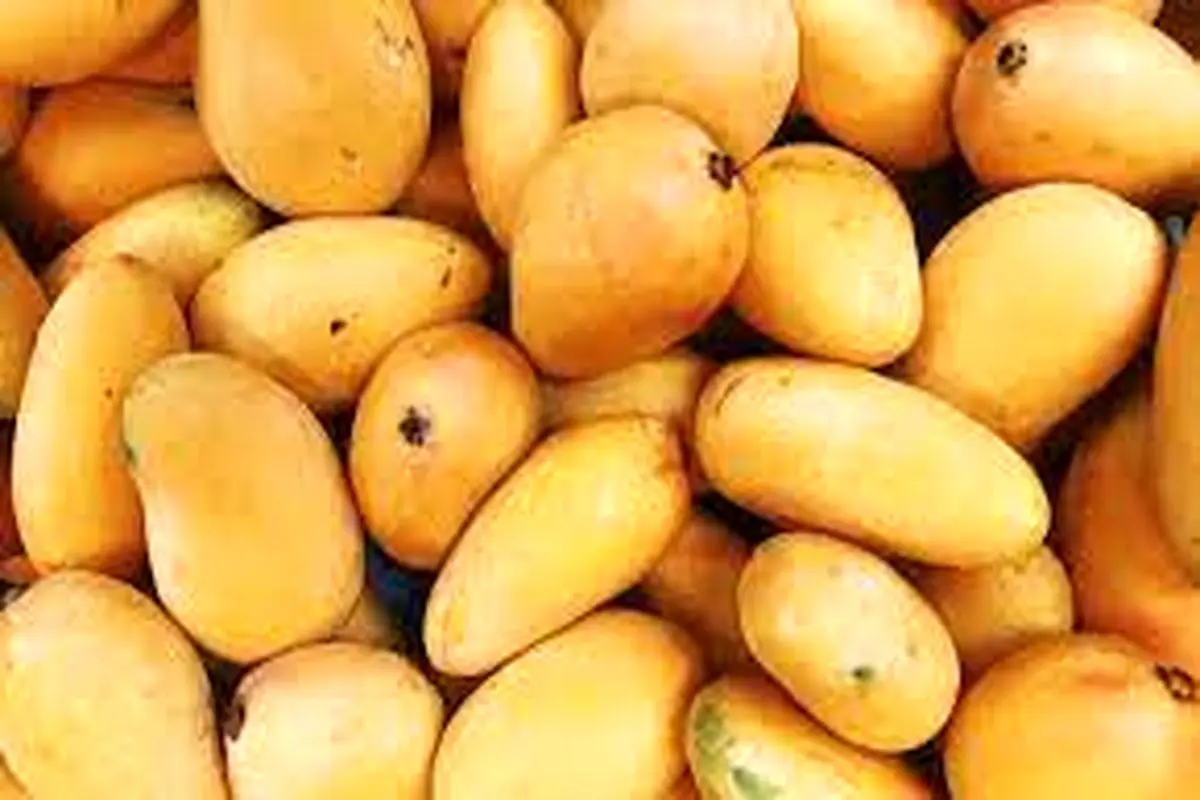 اقتصاد انبه‌ای

