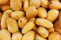 اقتصاد انبه‌ای

