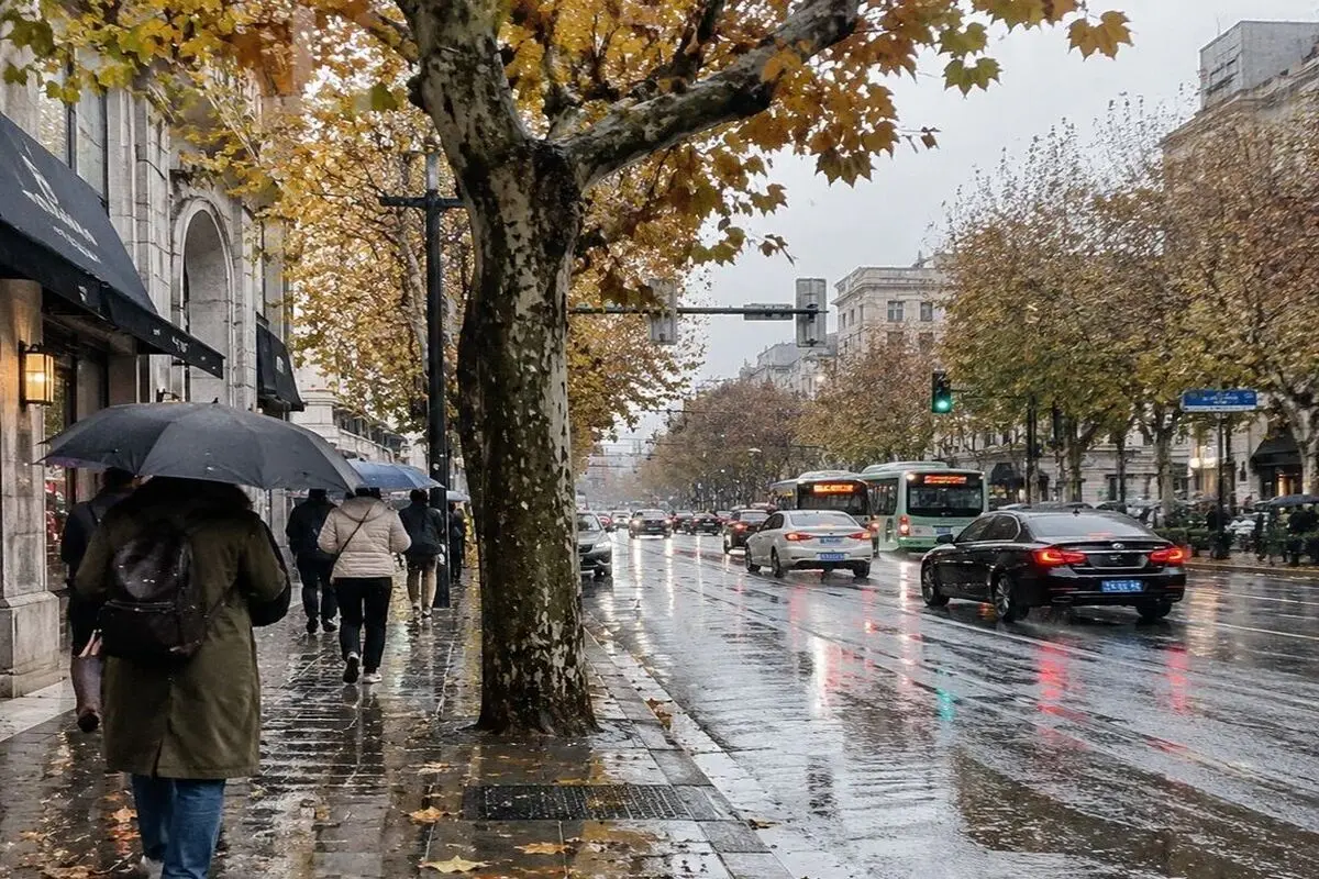 پیش بینی آب و هوای مازندران فردا شنبه ۲ آبان ۱۴۰۵ / احتمال رگبار و رعد و برق 