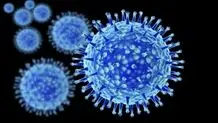 آنفلوانزای H3N2 در این استان قربانی گرفت/ هشدار افزایش ابتلا در ۱۰ روز آینده + جزئیات