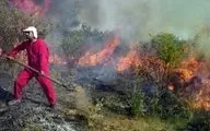 آتش ۱۰ هکتار از «شبه جزیره میانکاله» را در برگرفت

