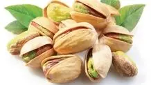 آمریکا، ایران را دور زد/ طلای سبز از دست ایران رفت

