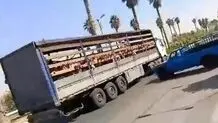 مدیر مدرسه غیردولتی جهرم از سمت خود برکنار شد