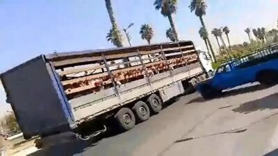 مدیر مدرسه غیردولتی جهرم از سمت خود برکنار شد