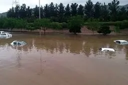 آخرین آمار کشته‌شدگان و مفقودشدگان سیل در مشهد؛ تعداد جان‌باختگان سیل مشهد افزایش یافت/ ویدئو و تصاویر
