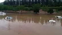آخرین آمار کشته‌شدگان و مفقودشدگان سیل در مشهد؛ تعداد جان‌باختگان سیل مشهد افزایش یافت/ ویدئو و تصاویر

