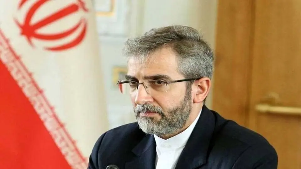 باقری: ایران نباید از کنار موضوع زنگه زور عبور کند