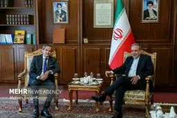 FM Araghchi calls on IAEA to focus on technical matters