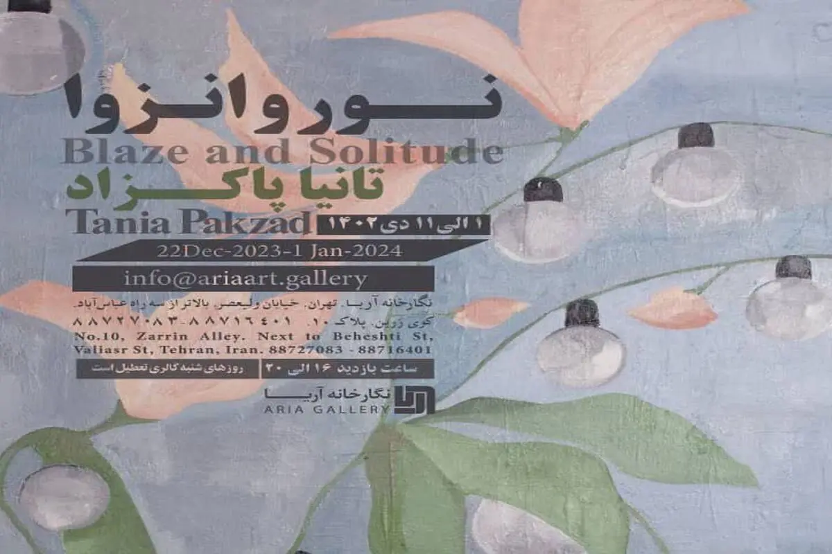 آثار تانیا پاکزاد در گالری آریا روی دیوار می‌رود

