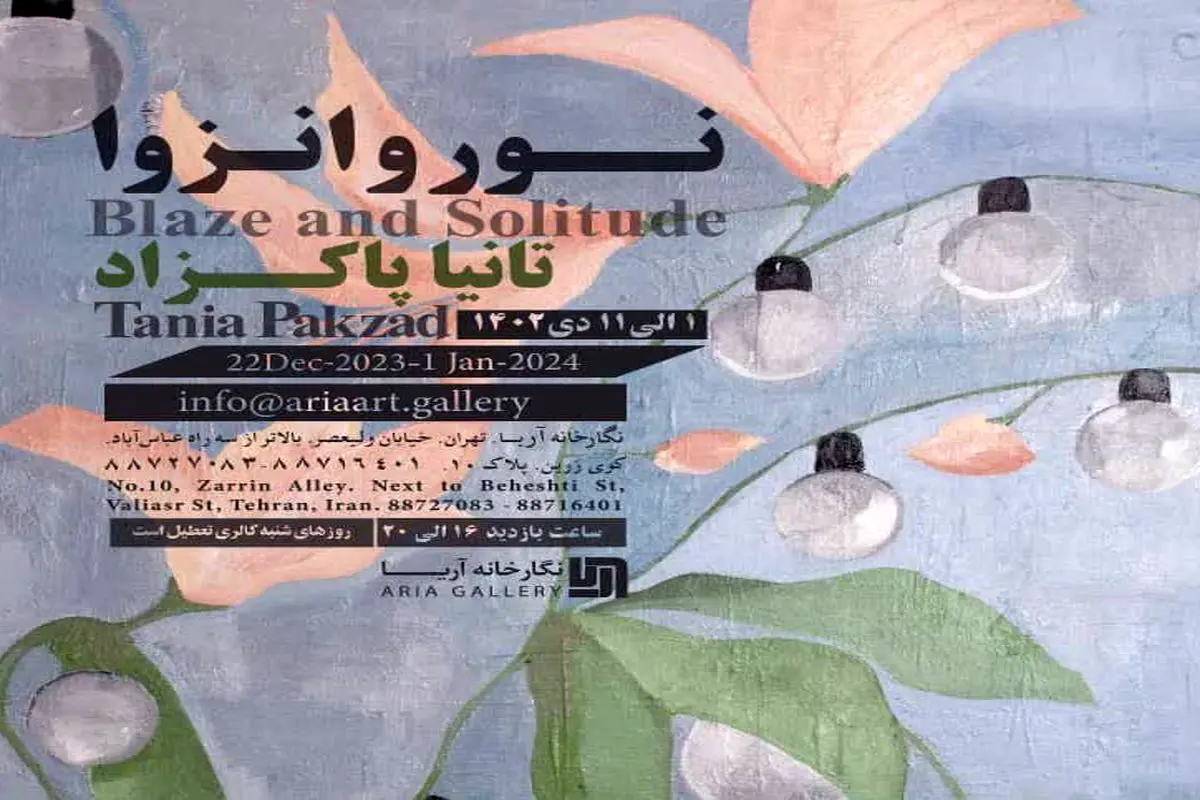 آثار تانیا پاکزاد در گالری آریا روی دیوار می‌رود

