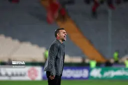 «ویسی» سرمربی فولادخوزستان شد