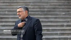 نمایندگان مجلس از ظفرقندی، کادر سلامت، هلال احمر و اورژانس تقدیر کردند 