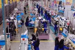 تعهد، تخصص و مهارت برای کروز اولویت است /  کروز در جذب نیروی انسانی معیارهای حرفه‌ای و تخصصی دارد

