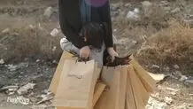 پنبه‌ریز و کمپین «نور امید»