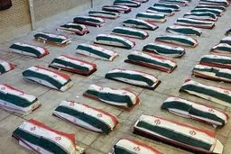 بازگشت پیکر »عماد هرمزی» یکی از شهدای دنا بعد از ۵۰ روز