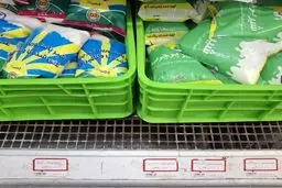 جهش قیمت شیر نایلونی