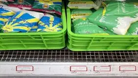 جهش قیمت شیر نایلونی