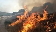  مهار آتش سوزی کارخانه لبنی در تهران+ویدئو