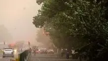 وزش باد شدید در نقاط مختلف تهران