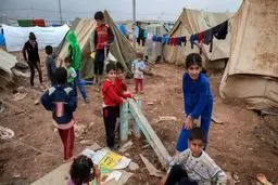کدام کشورها بیشترین آمار جذب مهاجران را داشته‌اند؟

