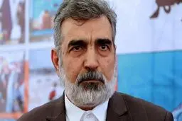 کمالوندي: الوکالة الذریة على علم بالإجراءات في مجمع نطنز